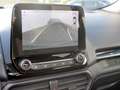 Ford EcoSport ST-Line 1,0 EcoBoost Start/Stopp Gris - thumbnail 14