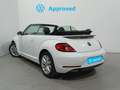 Volkswagen Beetle Cabrio 2.0TDI Design 81kW Blanco - thumbnail 10