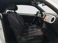 Volkswagen Beetle Cabrio 2.0TDI Design 81kW Blanco - thumbnail 5