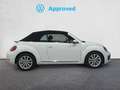 Volkswagen Beetle Cabrio 2.0TDI Design 81kW Blanco - thumbnail 3