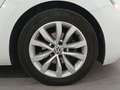 Volkswagen Beetle Cabrio 2.0TDI Design 81kW Blanco - thumbnail 8