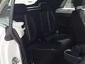 Volkswagen Beetle Cabrio 2.0TDI Design 81kW Blanco - thumbnail 6