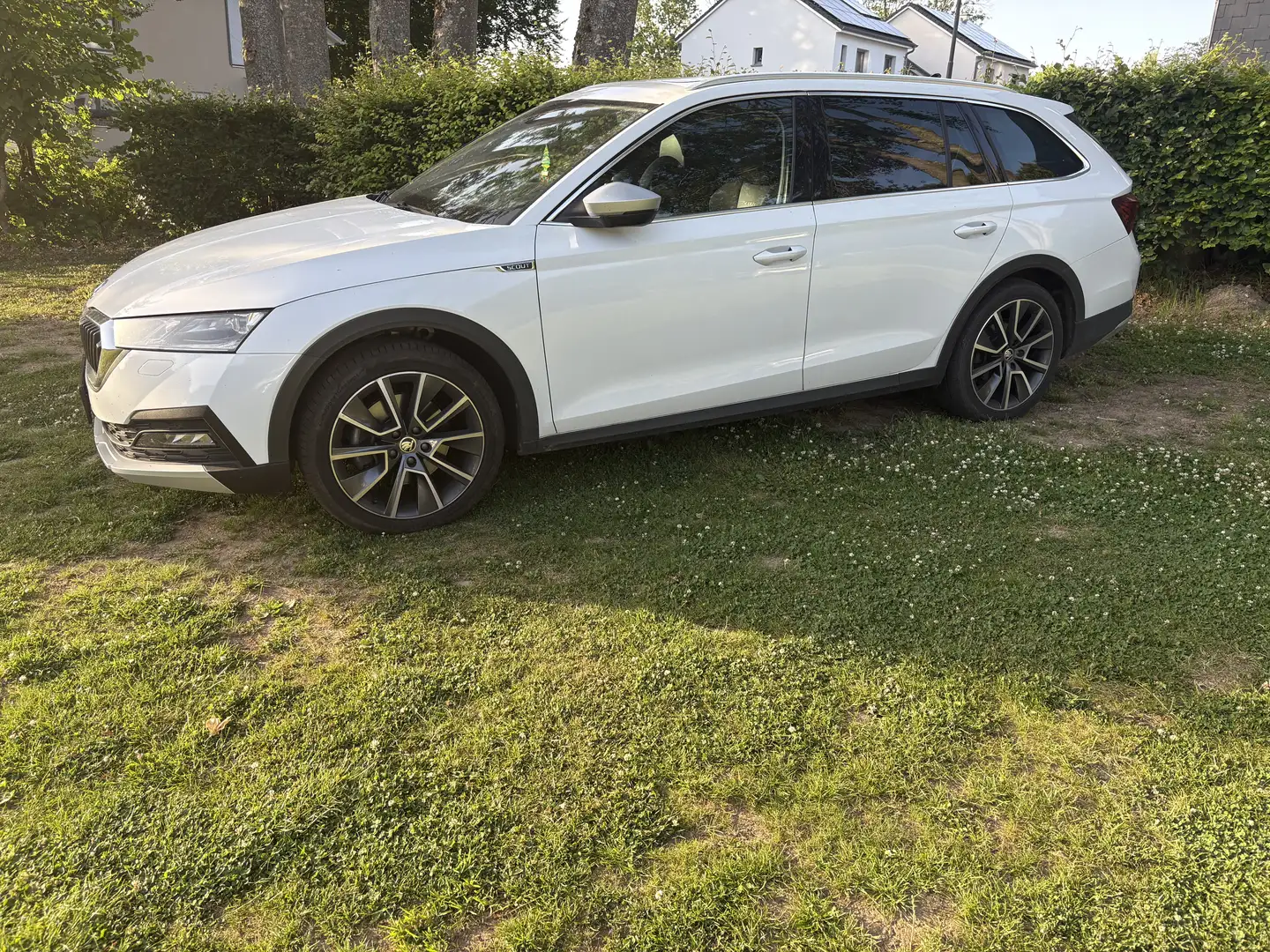 Skoda Octavia Scout 4x4 Blanc - 1