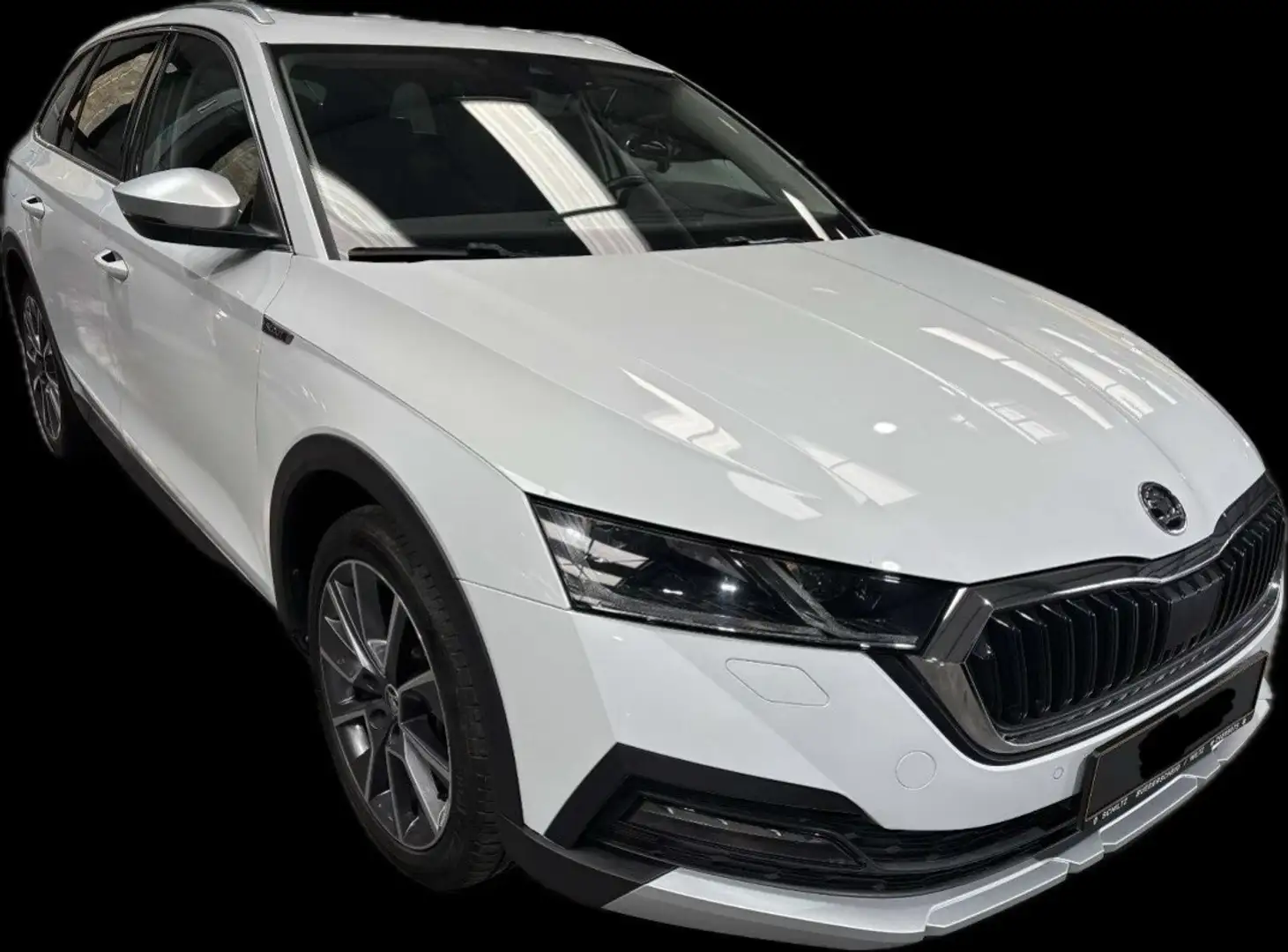Skoda Octavia Scout 4x4 Blanc - 2