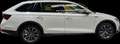 Skoda Octavia Scout 4x4 Blanc - thumbnail 3