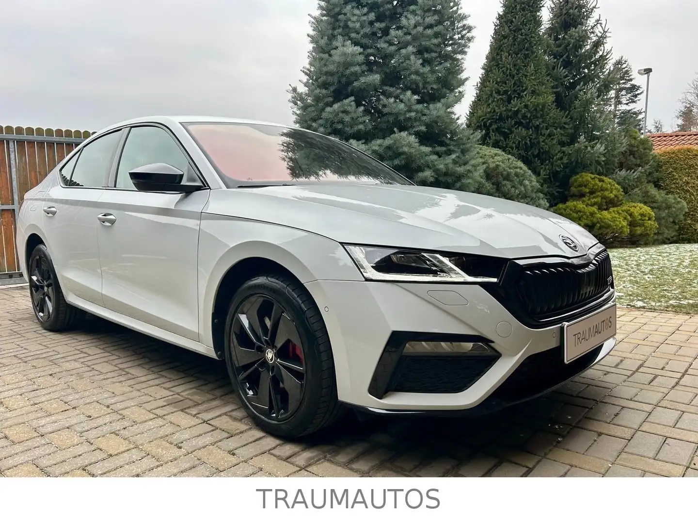 Skoda Octavia RS iV 245PS STHZ*HEAD UP*AHK Weiß - 2