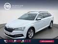 Skoda Superb Ambition TDI DSG Weiß - thumbnail 1