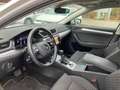 Skoda Superb Ambition TDI DSG Weiß - thumbnail 7
