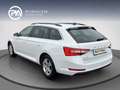 Skoda Superb Ambition TDI DSG Weiß - thumbnail 6