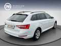 Skoda Superb Ambition TDI DSG Weiß - thumbnail 4