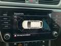 Skoda Superb Ambition TDI DSG Weiß - thumbnail 12