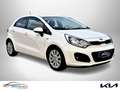 Kia Rio Verkauf nur an Hdl/Exp. - techn. top - Festpreis Blanc - thumbnail 16
