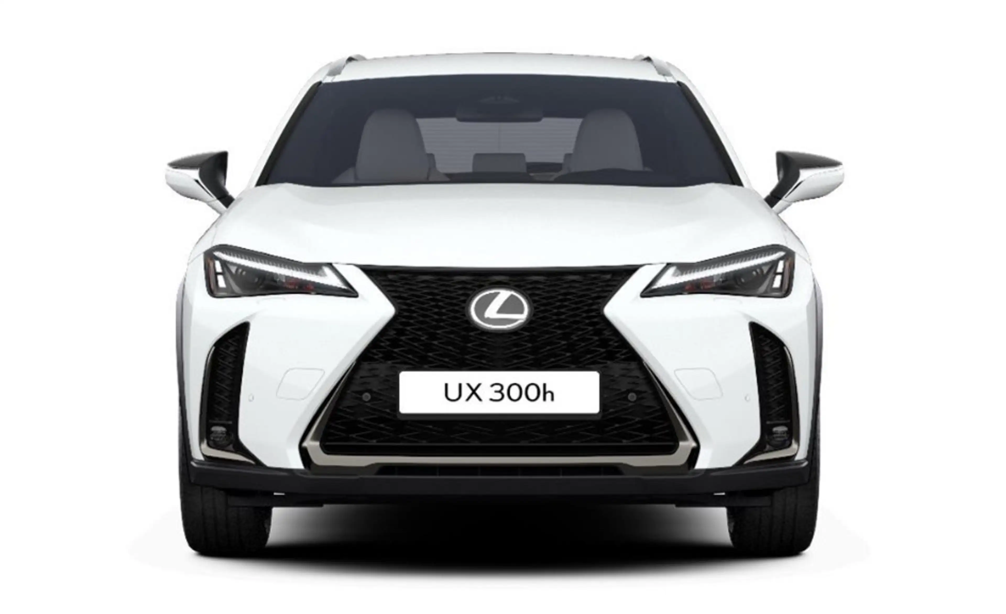 Lexus UX 300h F Sport Design Klima Kamera Sitzhzg — photo 2
