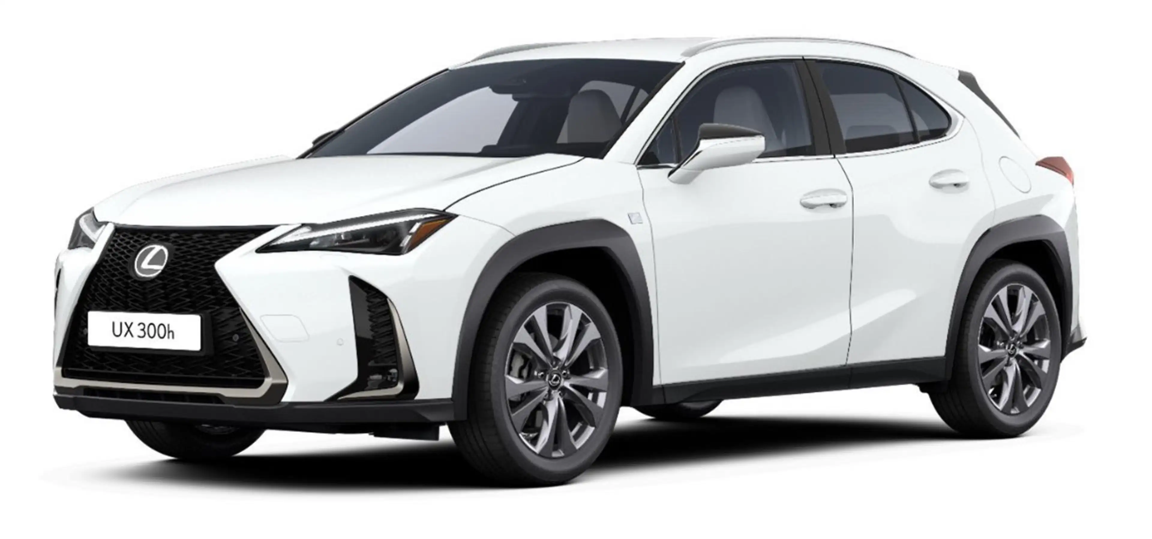 Lexus UX 300h F Sport Design Klima Kamera Sitzhzg — photo 3