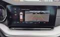 Skoda Octavia Combi 2,0 TDI Premium DSG Grau - thumbnail 19