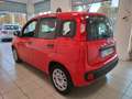 Fiat Panda 1.0 BENZINA  5 POSTI IN PROMO SENZA FINANZIAMENTO Rot - thumbnail 6