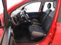 Fiat Panda 1.0 BENZINA  5 POSTI IN PROMO SENZA FINANZIAMENTO Rojo - thumbnail 7