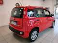 Fiat Panda 1.0 BENZINA  5 POSTI IN PROMO SENZA FINANZIAMENTO Rot - thumbnail 4