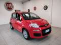 Fiat Panda 1.0 BENZINA  5 POSTI IN PROMO SENZA FINANZIAMENTO Rot - thumbnail 3