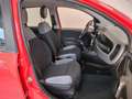 Fiat Panda 1.0 BENZINA  5 POSTI IN PROMO SENZA FINANZIAMENTO Rot - thumbnail 9