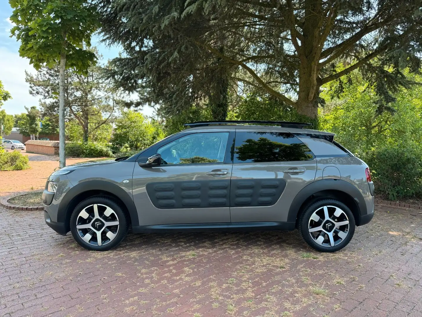Citroen C4 Cactus Shine|LED TFL|PDC|Kamera|Navi|touch! Bruin - 2