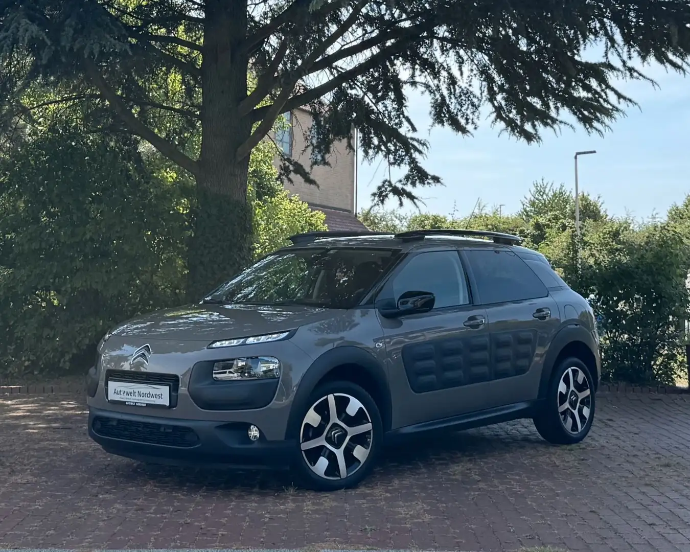 Citroen C4 Cactus Shine|LED TFL|PDC|Kamera|Navi|touch! Kahverengi - 1