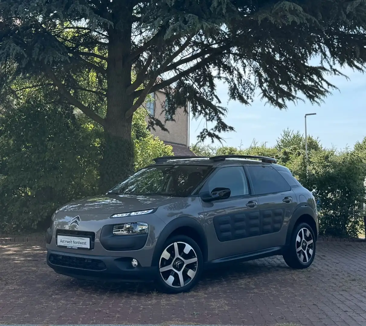 Citroen C4 Cactus Shine|LED TFL|PDC|Kamera|Navi|touch! Bruin - 1