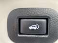 Nissan X-Trail dCi 150 2WD Tekna Bianco - thumbnail 17