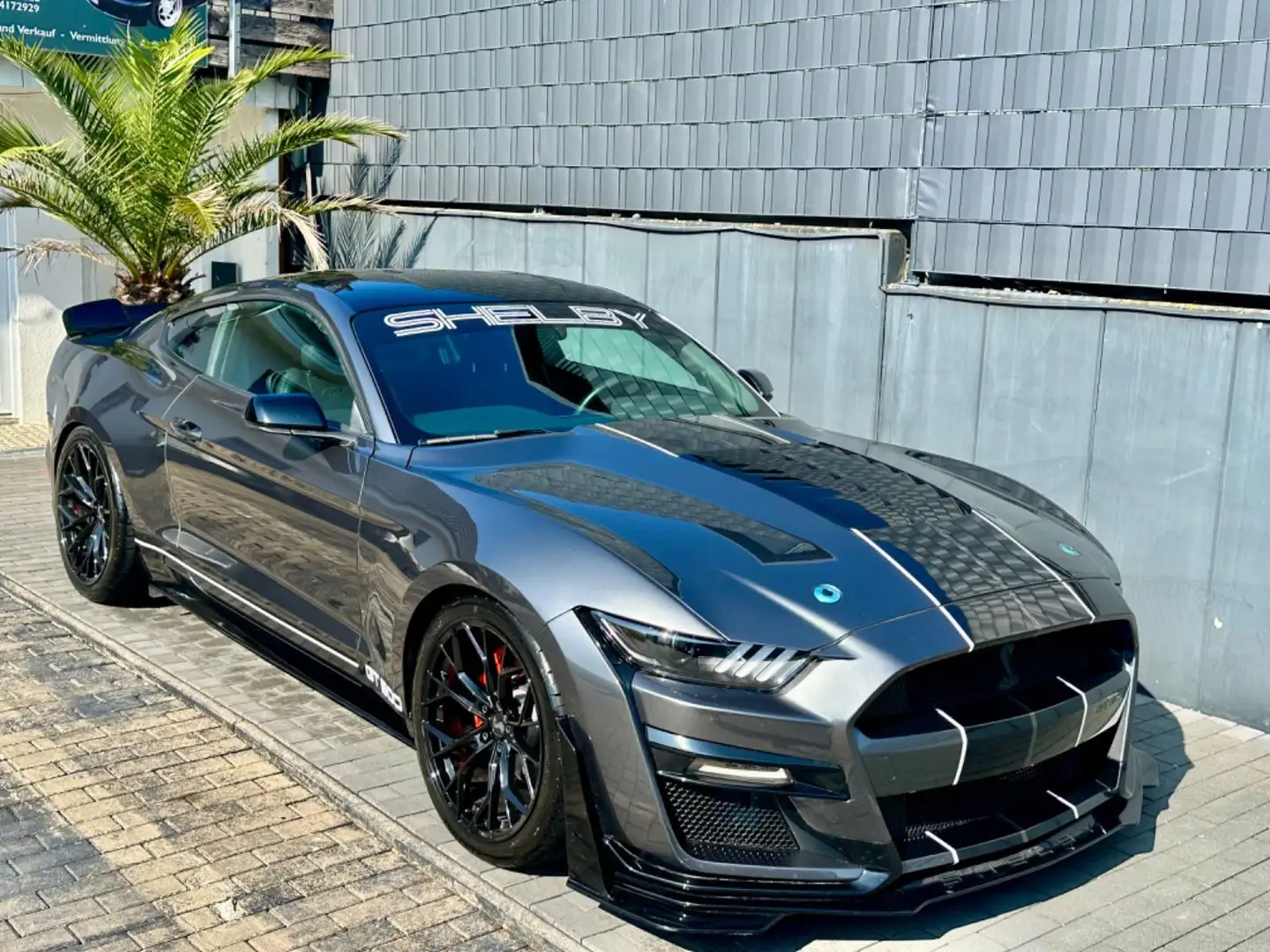 Ford Mustang 5.0 V8 SHELBY GT.500 EXTREM-SHZ-GARANTIE Gris - 1