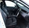 Land Rover Discovery Sport SE AWD Panorama*DAB*AHK Blanc - thumbnail 22