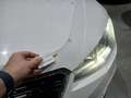 SEAT Arona 1.0 TSI S&S Style 110 Blanco - thumbnail 12