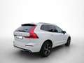 Volvo XC60 2.0 Turbo R Design 2WD Pano Navi 360 Kamera Weiß - thumbnail 6
