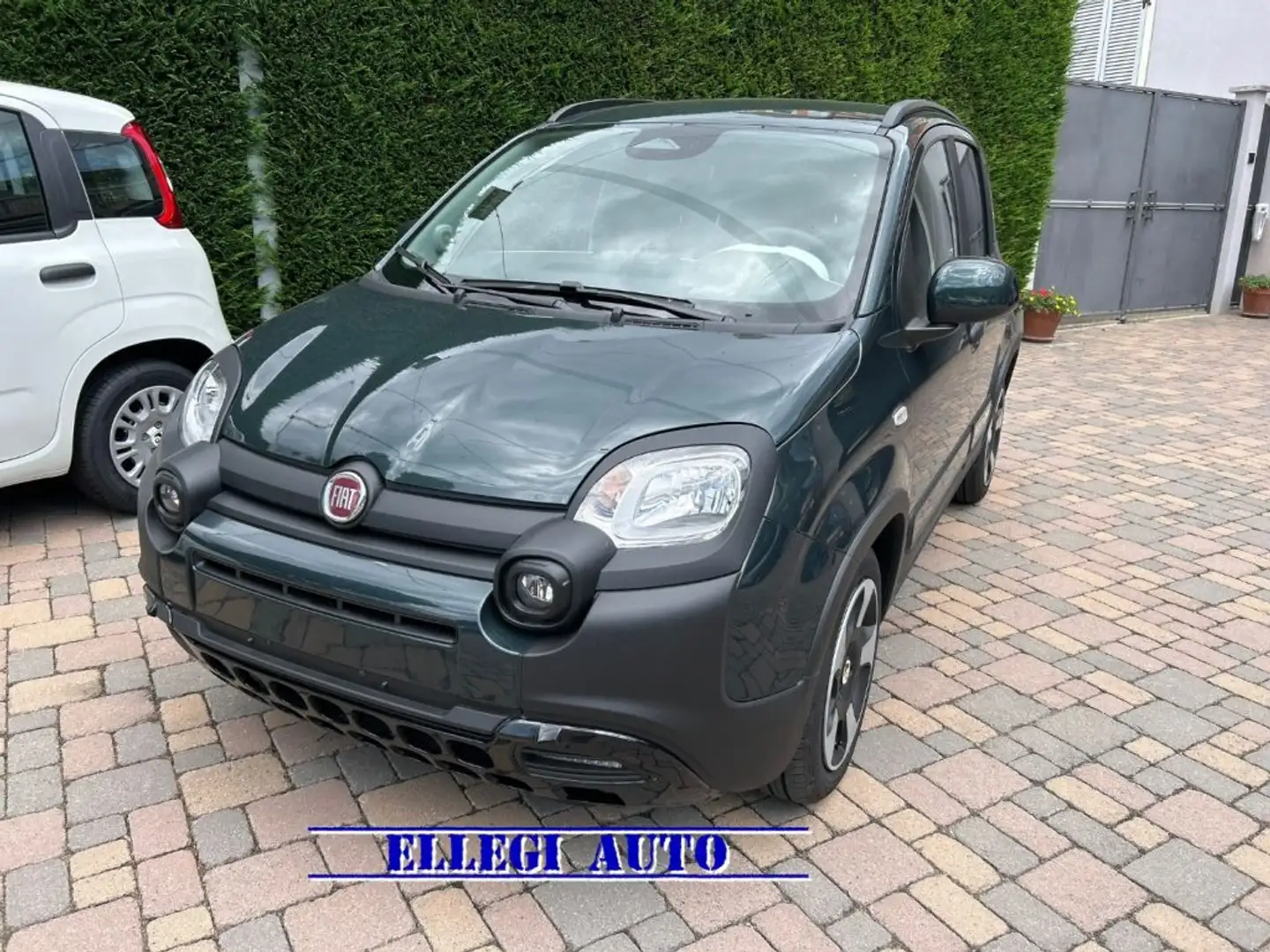 Fiat Pandina PROMO FIN. PANDINA CROSS  1.0 FireFly  Hyb Groen - 1
