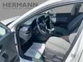SEAT Leon 1.5 eTSI Xcellence LED*PDC*Navi*Sitzhzg Weiß - thumbnail 8