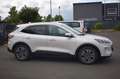 Ford Kuga Plug-In Hybrid Titanium X *LED*Kamera*AHK* Blanc - thumbnail 16