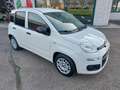 Fiat Panda 1.2 easypower GPL VAN 2 POSTI IVA esposta Bianco - thumbnail 3