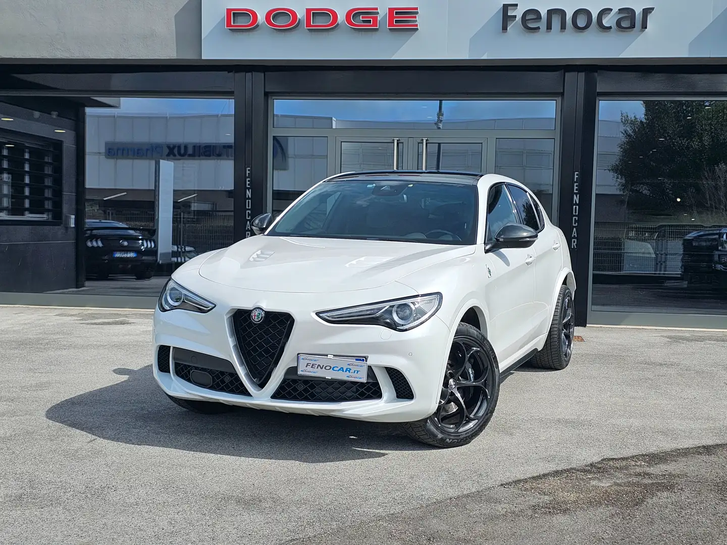 Alfa Romeo Stelvio 2.9 bi-t V6 Quadrifoglio Q4 510cv auto my19 Weiß - 1