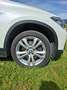 BMW X1 X1 xDrive 20d Sport Line Aut. Sport Line Weiß - thumbnail 6
