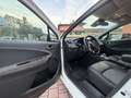 Renault ZOE ELETTRICA 51kw Bianco - thumbnail 8