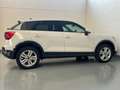 Audi Q2 Q2 35 1.5 tfsi Admired s-tronic Weiß - thumbnail 5