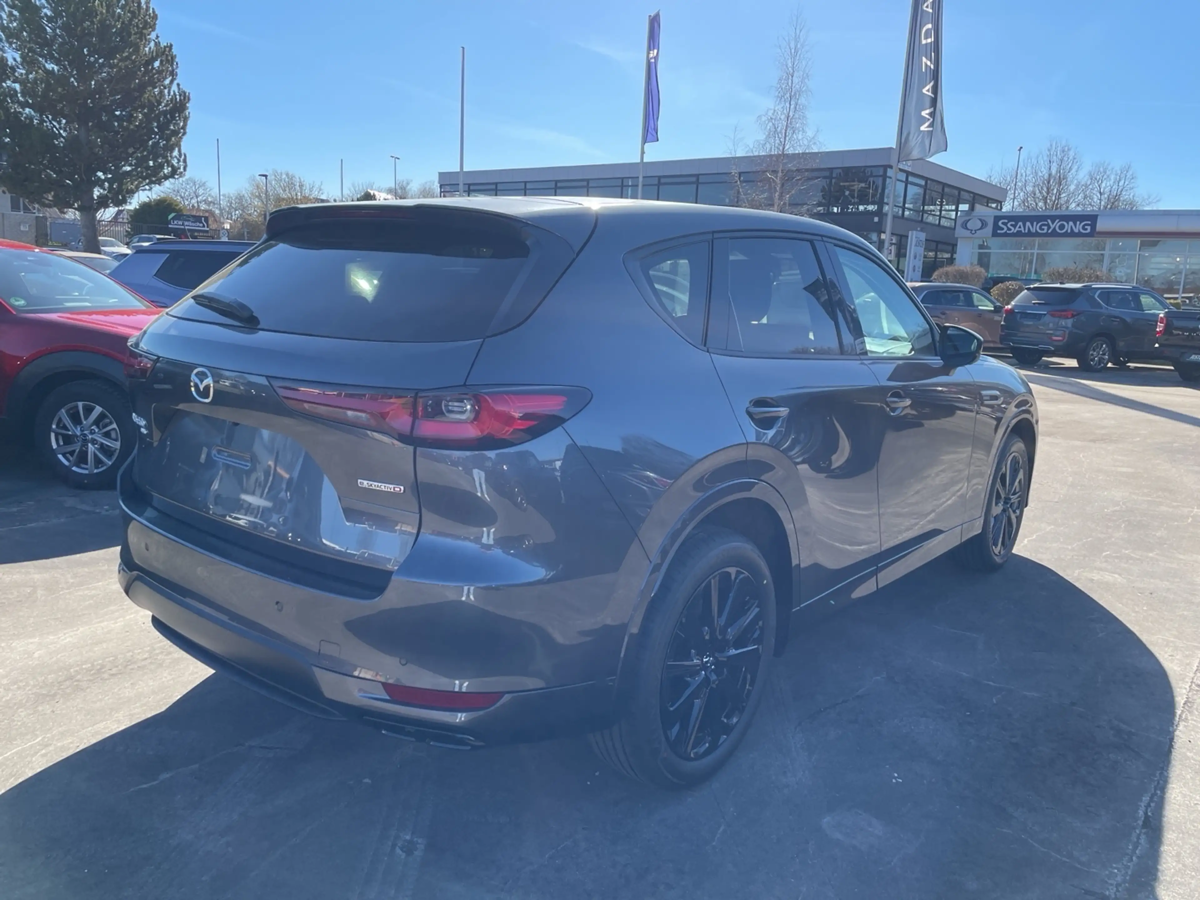 Mazda CX-60 3.3L e-SKYACTIV-D 254ps AWD Homura, COSO — photo 3