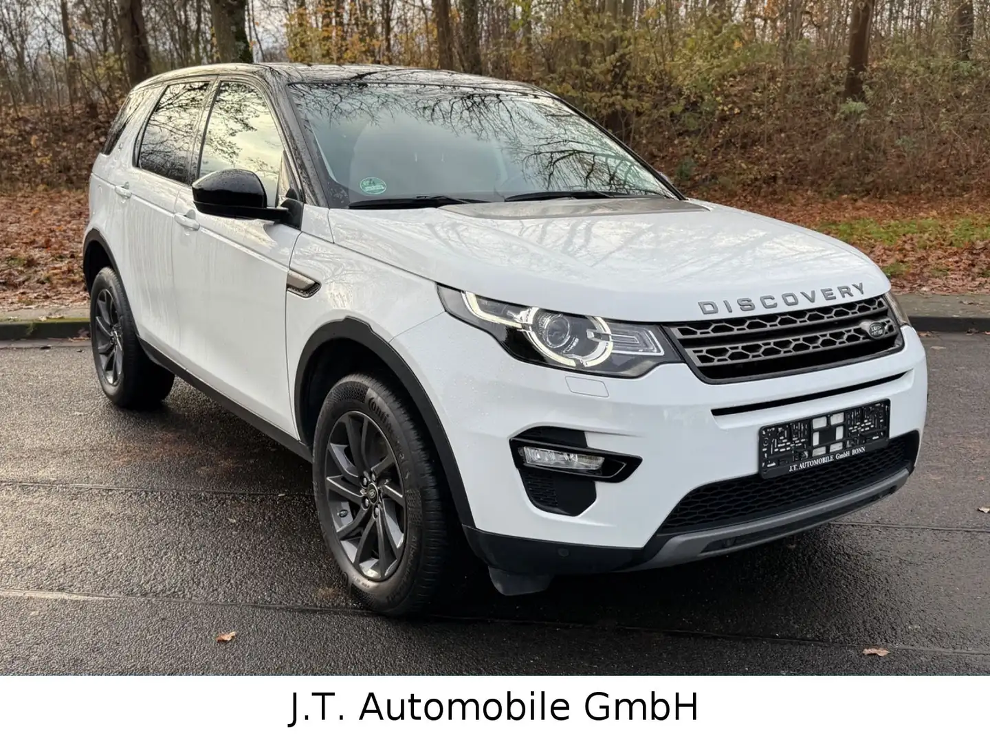 Land Rover Discovery Sport Basis AWD,Leder,Navi,LED - 1
