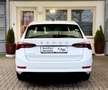 Skoda Octavia Combi Style Virtual | LED | Shz. | Wit - thumbnail 12