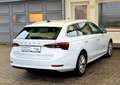 Skoda Octavia Combi Style Virtual | LED | Shz. | Wit - thumbnail 13