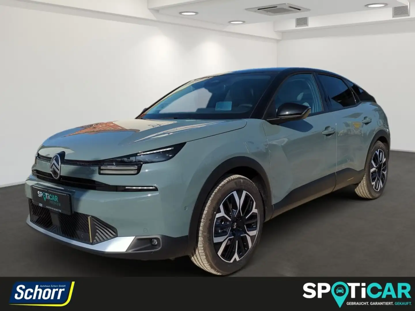 Citroen C4 156 MAX Grün - 1