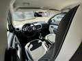 Renault Twingo Twingo 22kWh Equilibre Blu/Azzurro - thumbnail 6