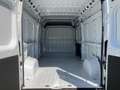 Fiat Ducato 3.5T L4H2 Kawa -Kamera - Tempomat Weiß - thumbnail 3