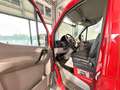 Mercedes-Benz Sprinter II 313 CDI*LANG L2 *MIXTO 5-SITZER*AHK Rosso - thumbnail 12