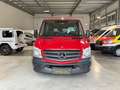 Mercedes-Benz Sprinter II 313 CDI*LANG L2 *MIXTO 5-SITZER*AHK Rosso - thumbnail 8