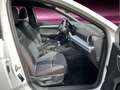 SEAT Ibiza FR 1.0TSI 110PS KAMERA VOLL-LED FERNL Blanc - thumbnail 13